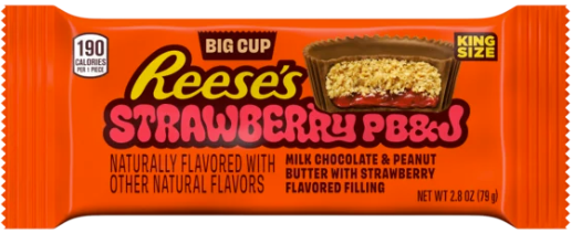 REESE'S STRAWBERRY PB & JAM 79GX16